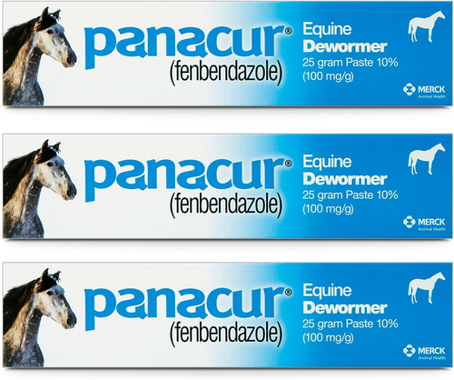 (3 Pack) Horse Dewormer Paste – 10%, 100mg Each