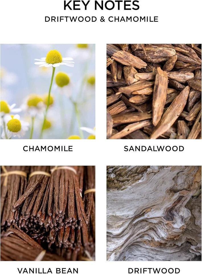 NEST New York Driftwood & Chamomile Reed Diffuser Liquid Refill – New